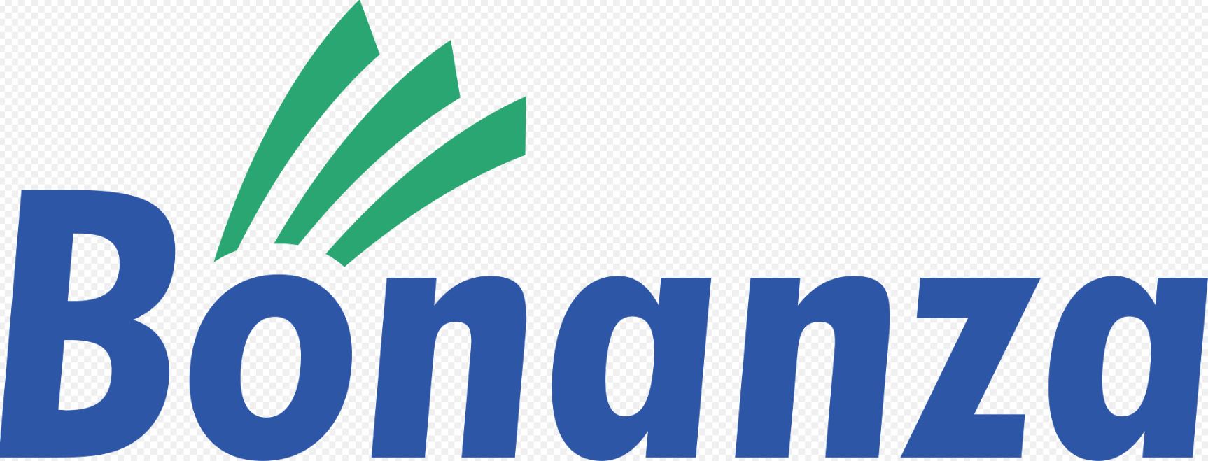 Bonanza Portfolio Limited